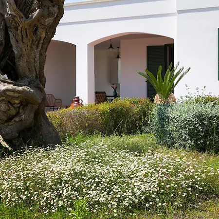 Casa Montarrina * מורצ'יאנו די לאוקה